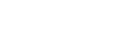 Management Team